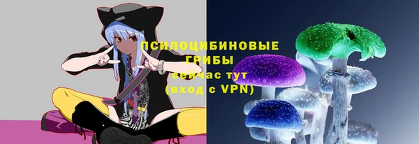 индика Алзамай