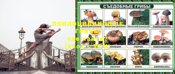 соль ск Алексеевка