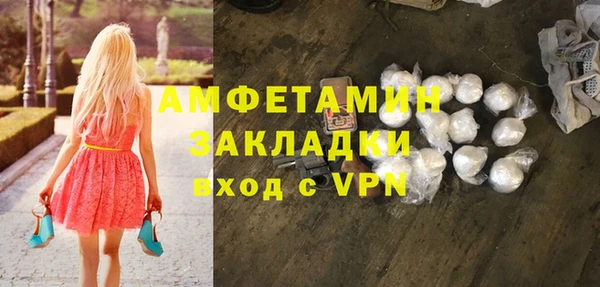 индика Алзамай