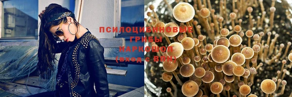 кокс Алексин