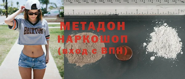 индика Алзамай