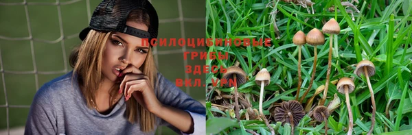 кокс Алексин