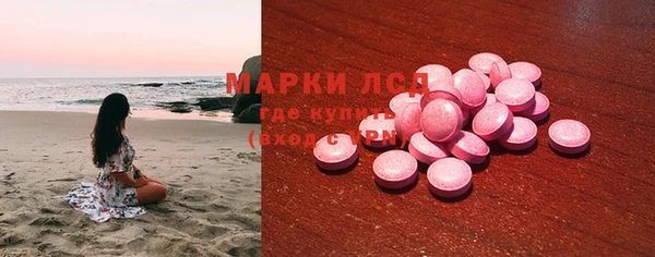 индика Алзамай
